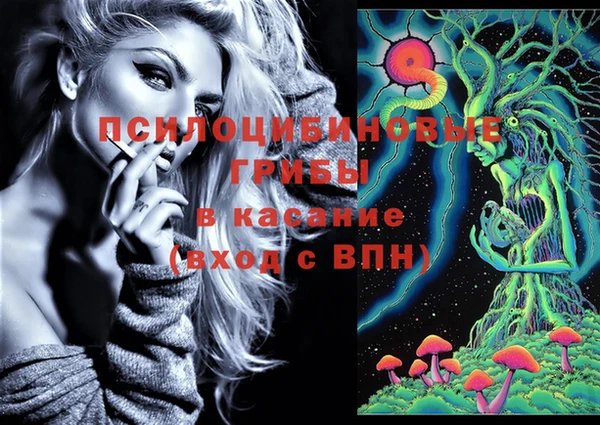 молекула духа Касимов