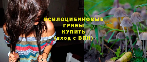 соль курить ск Алексеевка